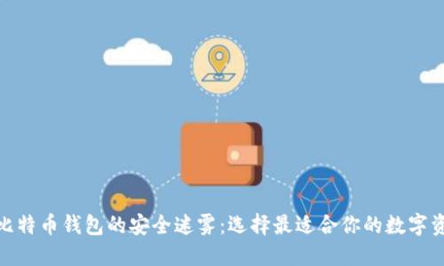 探寻国内比特币钱包的安全迷雾:选择最适合你的数字资产保护伞