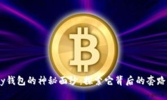 揭开my钱包的神秘面纱：探索它背后的套路与潜能