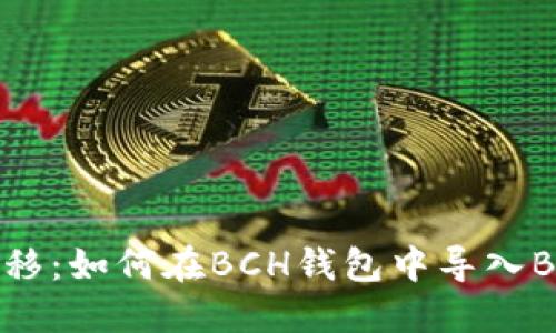无缝迁移：如何在BCH钱包中导入BTC备份