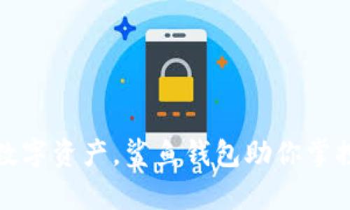 拥抱未来数字资产，鲨鱼钱包助你掌控财富之海
