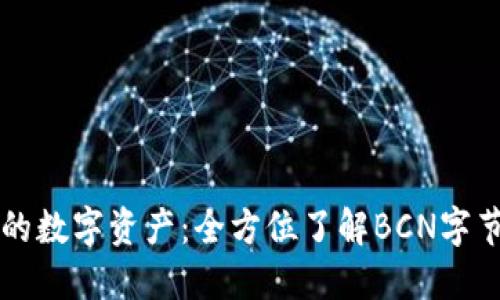 掌握你的数字资产:全方位了解BCN字节币钱包