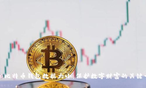 揭秘比特币钱包数据大小：保护数字财富的关键一环