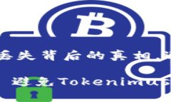 解密TokenimusDT丢失背后的真相，避免奇