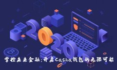 掌控未来金融：开启Casha钱包的无限可