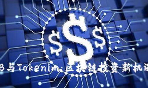 揭秘BNB与Tokenim:区块链投资新机遇的探寻