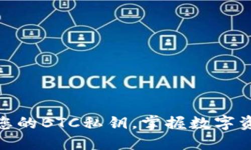 轻松导入您的BTC私钥,掌握数字资产的命脉
