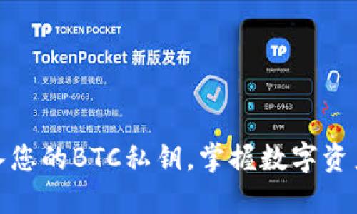 轻松导入您的BTC私钥,掌握数字资产的命脉