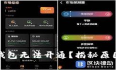 数字人民币钱包无法开通？揭秘原因与