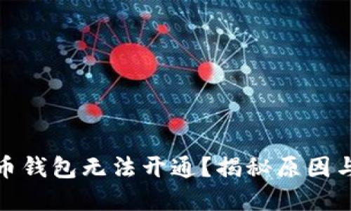 数字人民币钱包无法开通?揭秘原因与解决方案