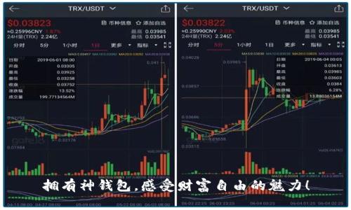 拥有神钱包,感受财富自由的魅力!