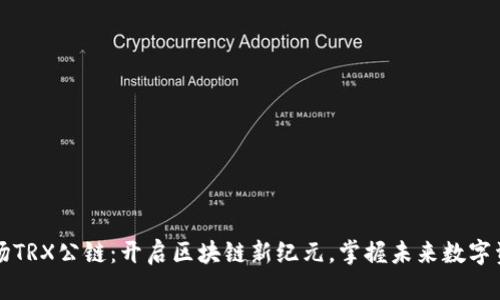 波场TRX公链：开启区块链新纪元，掌握未来数字资产
