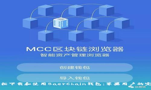 如何轻松下载和使用BaerChain钱包:苹果用户的完整指南