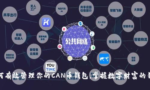 如何有效管理你的CAN币钱包,掌握数字财富的钥匙