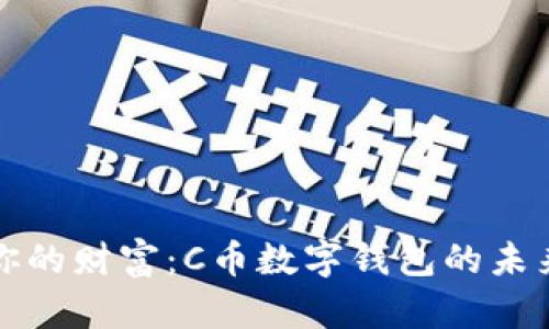 掌控你的财富：C币数字钱包的未来之旅