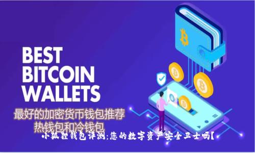 小狐狸钱包评测：您的数字资产安全卫士吗？