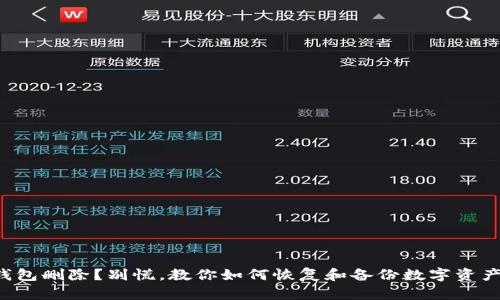 钱包删除?别慌,教你如何恢复和备份数字资产!