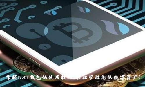 掌握NXT钱包的使用技巧,轻松管理您的数字资产!