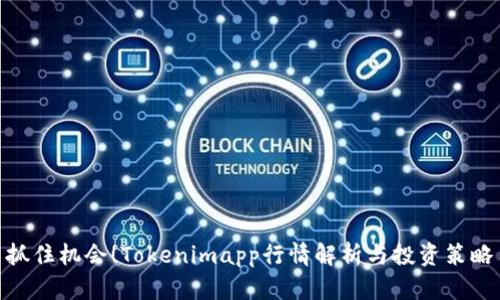 抓住机会!Tokenimapp行情解析与投资策略