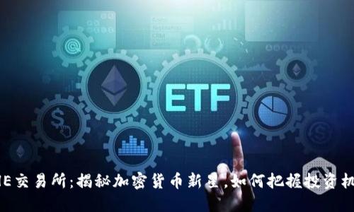 BHE交易所:揭秘加密货币新星,如何把握投资机遇