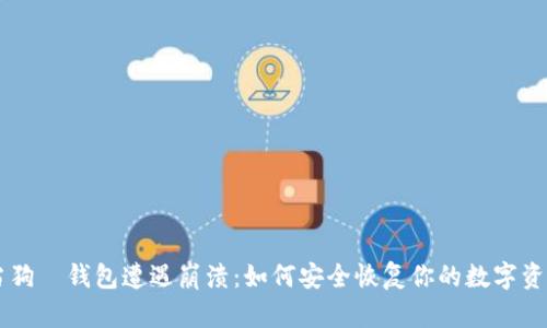 当狗帀钱包遭遇崩溃:如何安全恢复你的数字资产