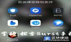 每一次支付，尽在掌握：探索Burst手机