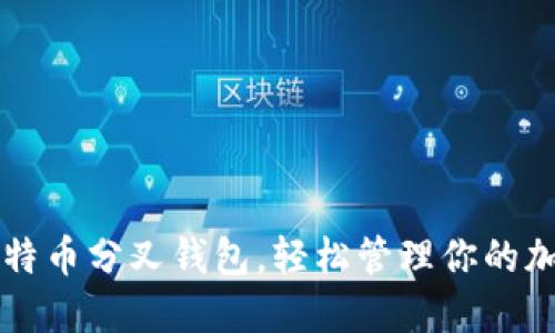 掌握比特币分叉钱包,轻松管理你的加密资产