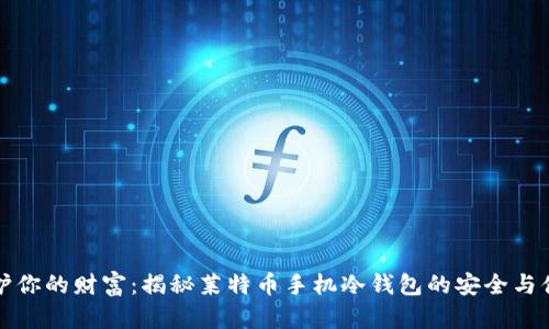 保护你的财富：揭秘莱特币手机冷钱包的安全与便利