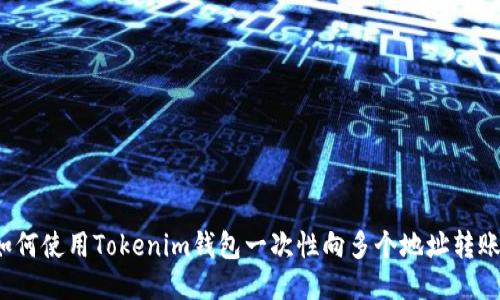 如何使用Tokenim钱包一次性向多个地址转账?