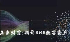 明智投资，构建未来财富：揭开BHE数字