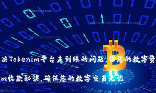 如何快速解决Tokenim平台未到账的问题，让您的数字资产安然无恙

掌握Tokenim收款秘诀，确保您的数字交易无忧