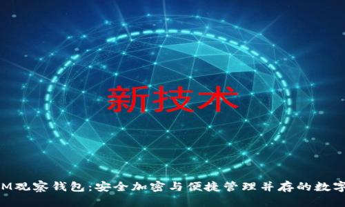 揭秘TokenIM观察钱包：安全加密与便捷管理并存的数字资产守护者