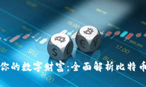 轻松管理你的数字财富：全面解析比特币轻量钱包