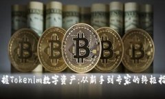 掌握Tokenim数字资产：从新手到专家的