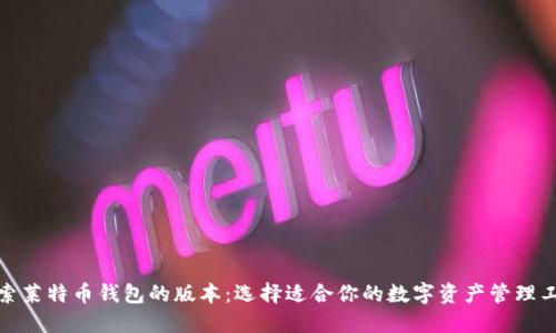 探索莱特币钱包的版本:选择适合你的数字资产管理工具