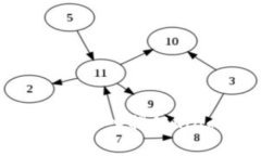 开启数字财富之门：深入揭秘Ring钱包