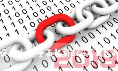 安全存储与便捷使用:全面解析BCH币钱包的选择与管理