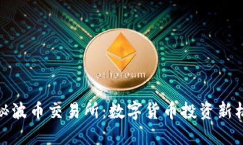 揭秘波币交易所:数字货币投资新机遇