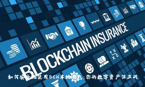 如何安全地使用BCH本地钱包:你的数字资产保卫战