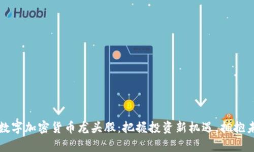 2023年数字加密货币龙头股:把握投资新机遇,拥抱未来财富!