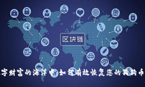 在数字财富的海洋中：如何有效恢复您的狗狗币钱包