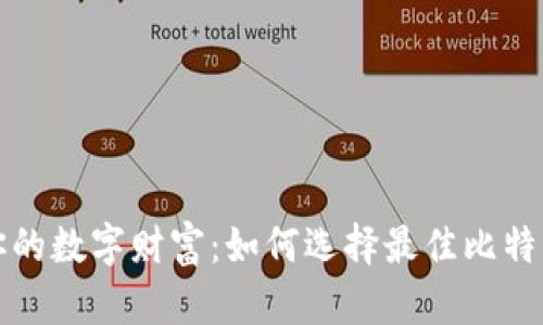 保护你的数字财富：如何选择最佳比特币钱包