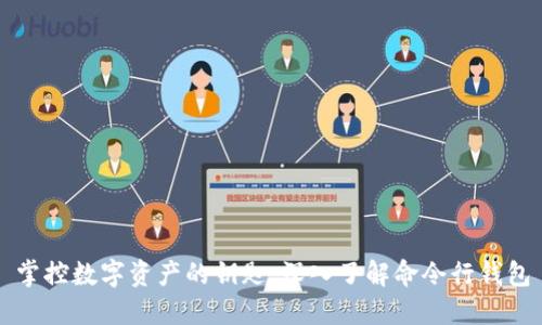 掌控数字资产的钥匙:深入了解命令行钱包