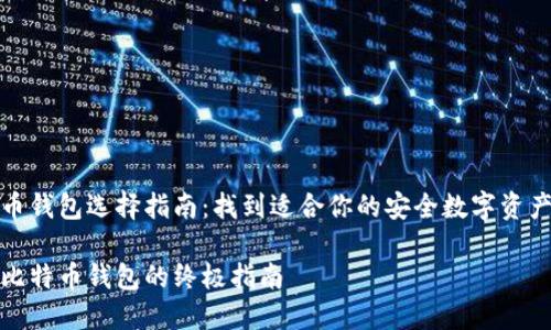 比特币钱包选择指南：找到适合你的安全数字资产宝库

选择比特币钱包的终极指南