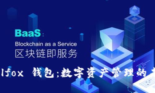 探索 Filfox 钱包：数字资产管理的未来选择