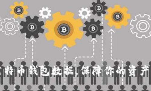 如何高效同步莱特币钱包数据，保障你的资产安全与流畅使用