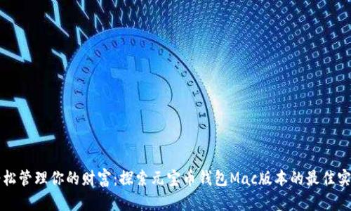 轻松管理你的财富：探索元宝币钱包Mac版本的最佳实践