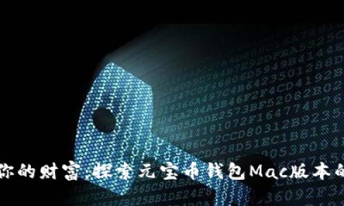 轻松管理你的财富：探索元宝币钱包Mac版本的最佳实践