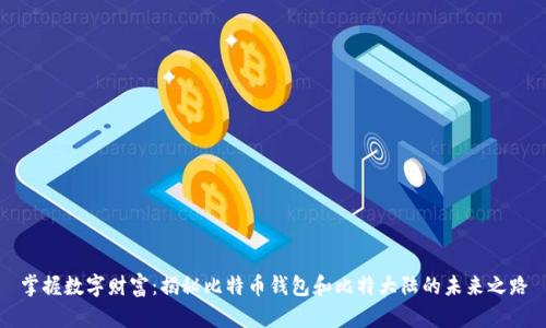 掌握数字财富：揭秘比特币钱包和比特大陆的未来之路