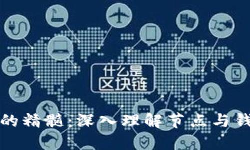 掌握比特币的精髓：深入理解节点与钱包的重要性