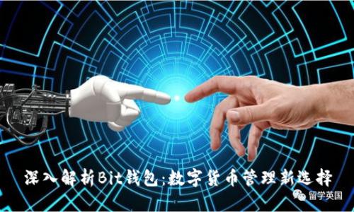 深入解析Bit钱包:数字货币管理新选择